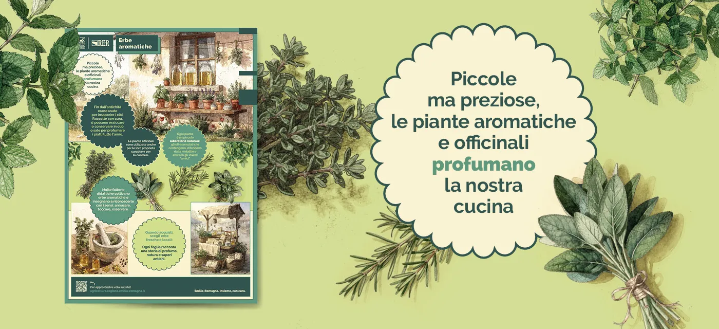FD_POSTER__foto__7