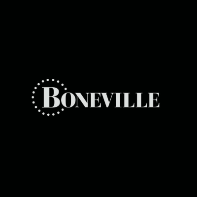 New Ecommerce per Boneville1981