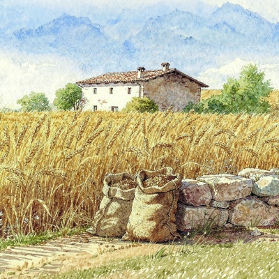 Fattorie didattiche cover